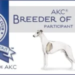 Whippet_BoM_Banner-890e2052-1920w